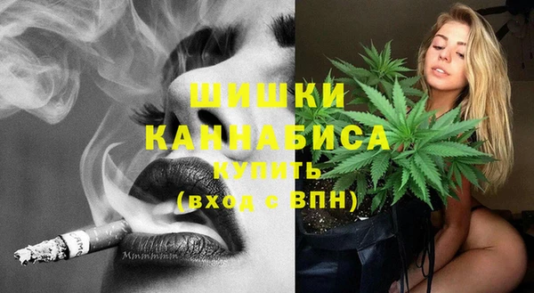 твердый Алзамай