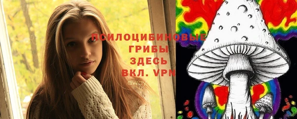 твердый Алзамай